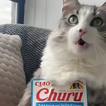 Churu y PRIOPCION: Éxito en Promoción "Año de Felicidad Gatuna"