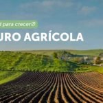 Agroseguro Renueva su Identidad Visual y Sonora con Campaña de CandyStore