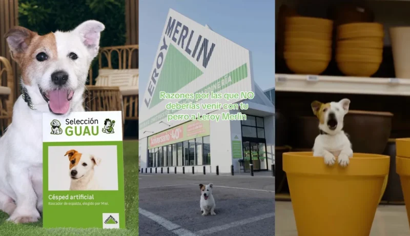 perros-disenadores-leroy-merlin-lanza-campana-pet-friendly-innovadora