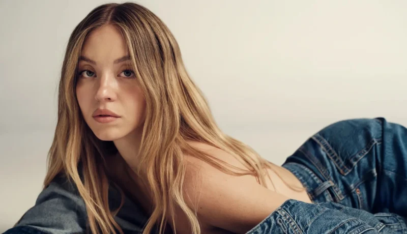 american-eagle-lecciones-publicitarias-de-una-campana-controversial