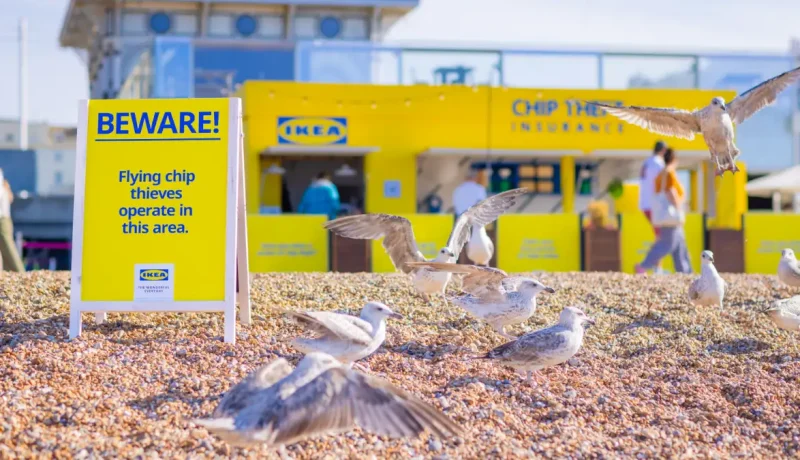 ikea-lanza-seguro-insolito-contra-gaviotas-en-brighton