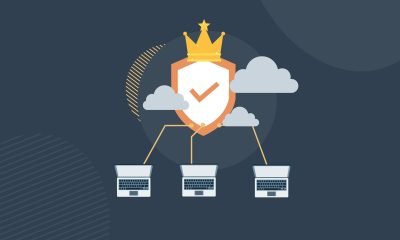 ¿Por Qué tu Contenido No Despega? El Sesgo de Autoridad en Google SEO