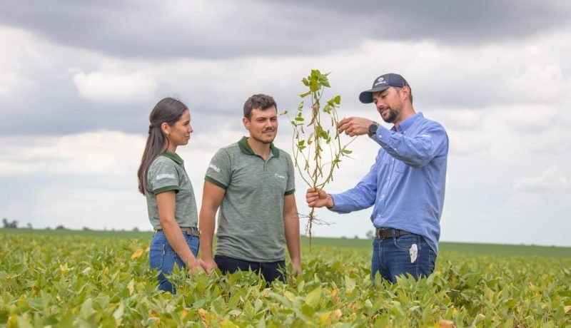 Empleo Rural: InLac y Tactics Europe Revitalizan el Campo para Jóvenes Empleo Rural: InLac y Tactics Europe Revitalizan el Campo para Jóvenes