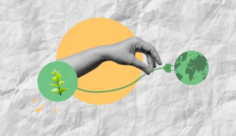 Marcas: Sostenibilidad, Clave para Éxito y Supervivencia Empresarial