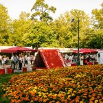 VIPS lidera Feria del Libro 2025
